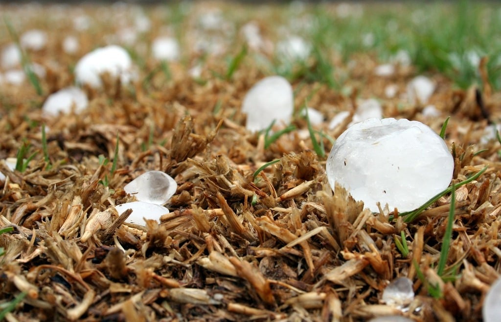 hail that could cause roof damage resting on grass Wright at Home Roofing & Exteriors in Minneapolis, MN