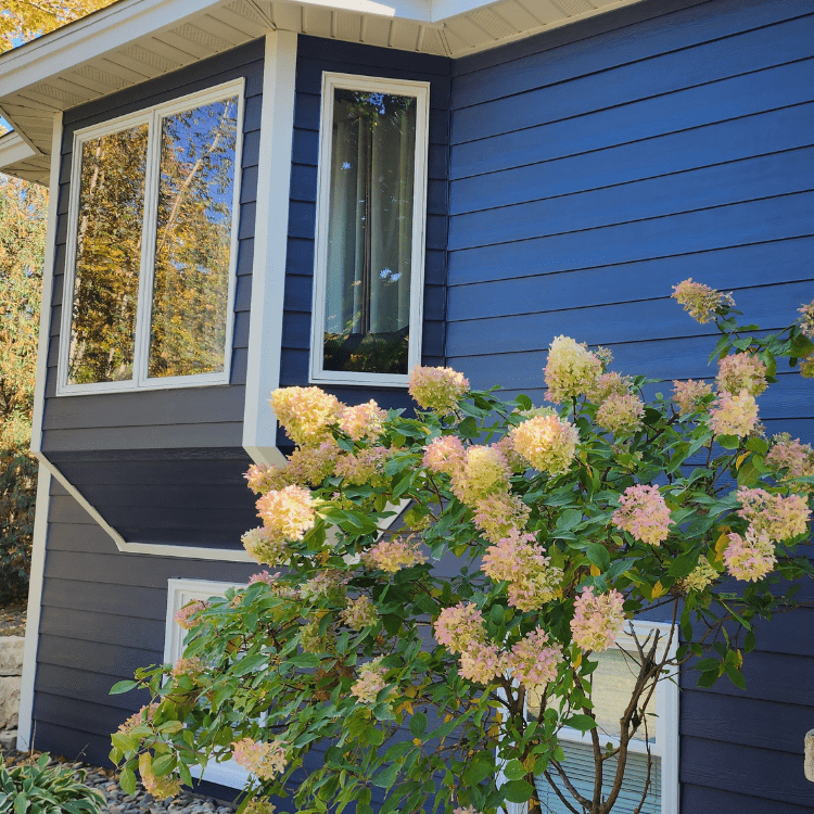 Suburban home featuring dark blue or gray James Hardie lap siding installed by siding contractors in Minneapolis, MN