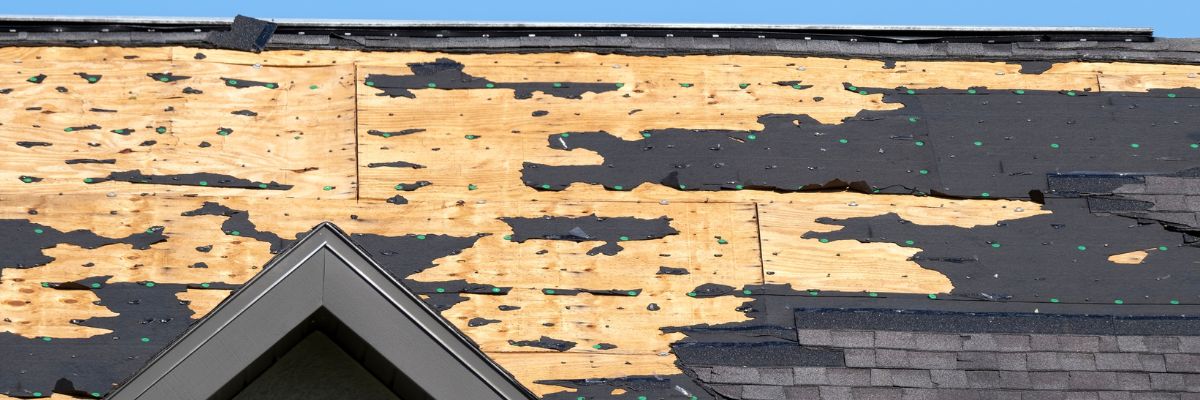 Exposed and damaged roof sheathing caused by spring storm weather, prepared for repair by Wright at Home Roofing & Exteriors in Minneapolis