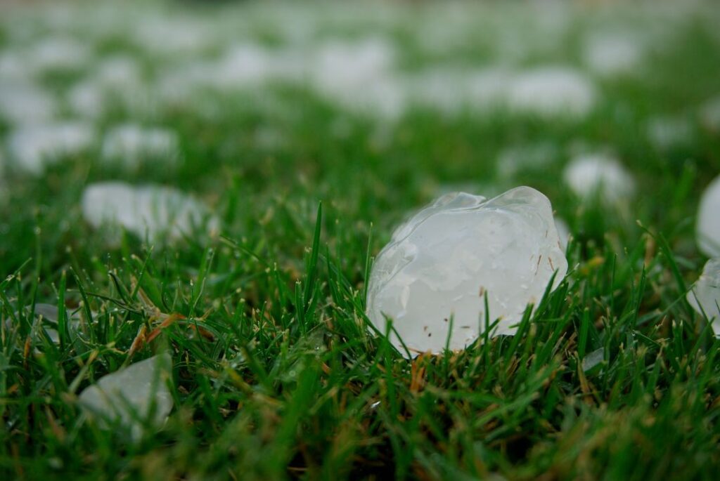 a hailstone large enough to cause roof damage resting on green grass