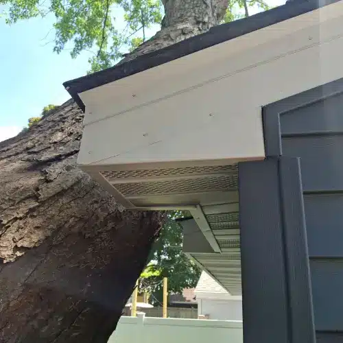 Close-up view of a after home exterior showing new siding and roofing soffit near a large tree trunk, representing quality residential roofing and siding services in St. Louis Park, MN.