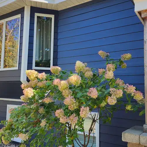 Stillwater MN exterior restoration featuring James Hardie siding and new roofing by Wright at Home Roofing & Exteriors in MN